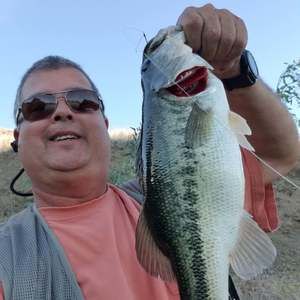 Meet your Posher, Will